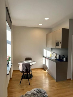 Modern Central Apartment Riga Retreat